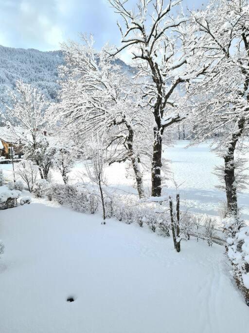 Appartement Le D12 Samoëns מראה חיצוני תמונה