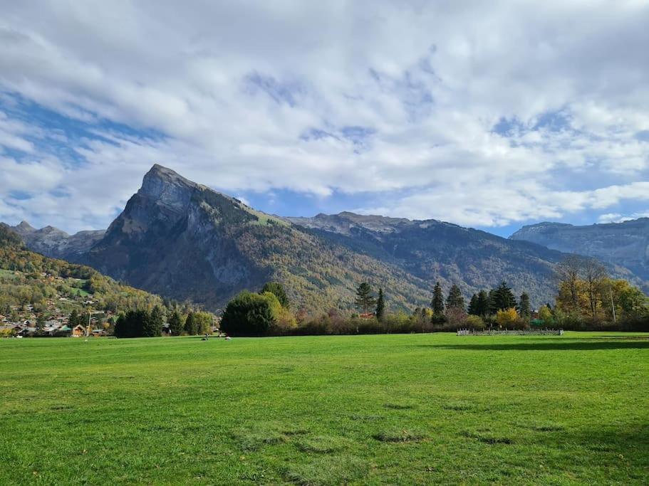 Appartement Le D12 Samoëns מראה חיצוני תמונה